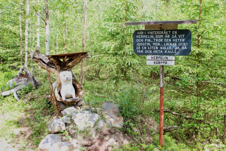 Puinen taideteos kärpästä vaellusreitin varrella.