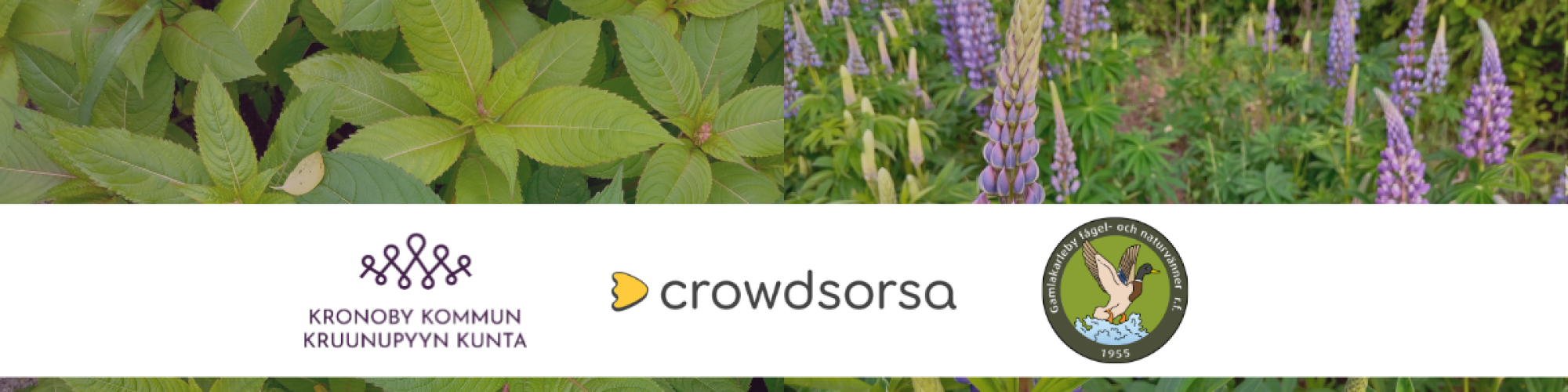logo för crowdsorsa