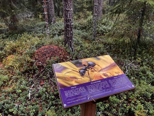 mystack i skogen med en skylt framför