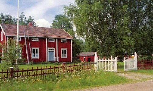 Den röda Tolvmansgården i sommarskrud med gröna träd och vita blommor runtomkring.